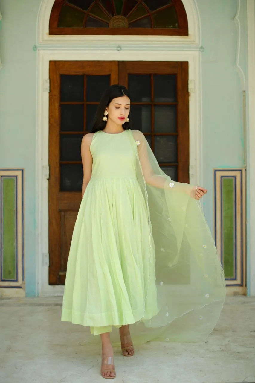 Nora pista flower anarkali